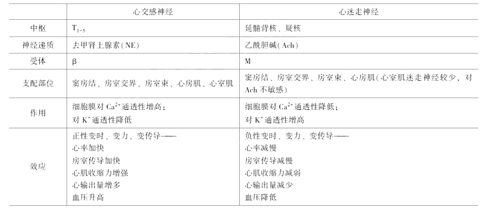 临床执业医师考试《生理学》考点：心血管活动的调节